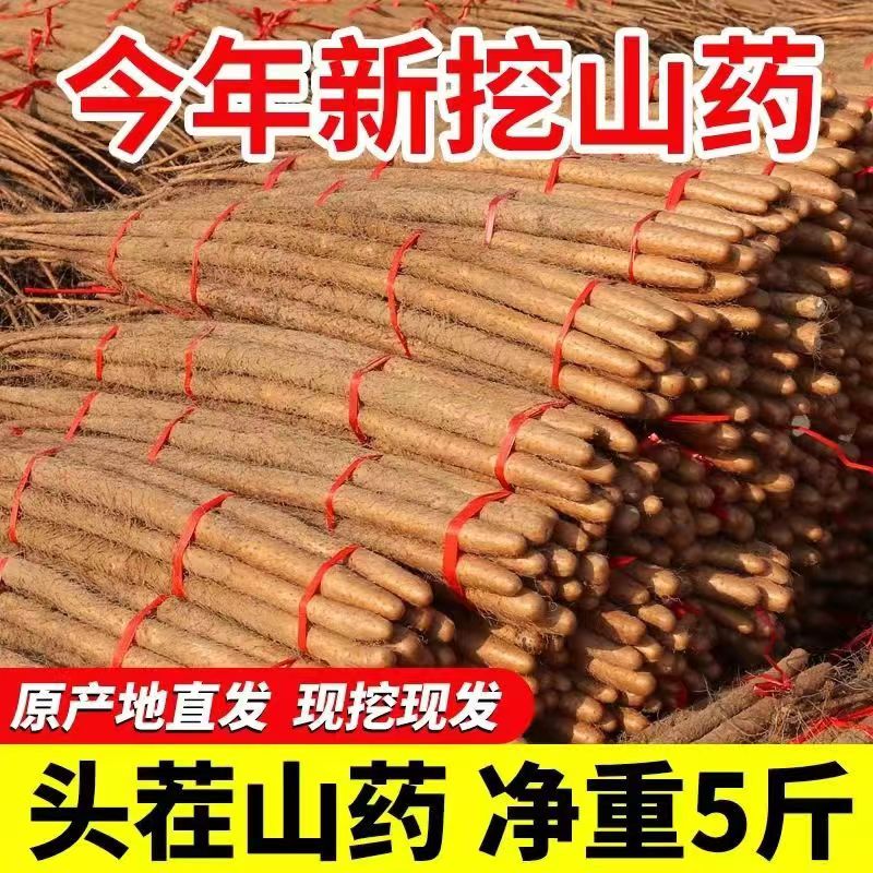 正宗铁棍山药新鲜5斤铁杆小白嘴中药材非河南焦作温县垆土淮山菜 水产肉类/新鲜蔬果/熟食 新鲜山药 原图主图