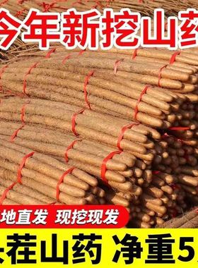 正宗铁棍山药新鲜蔬菜5斤铁杆小白嘴非河南焦作温县垆土淮山菜