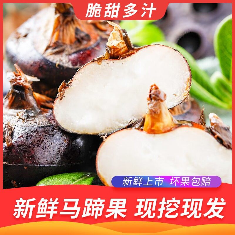 苏北马蹄荸荠新鲜特级大果