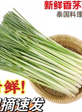 香茅草新鲜香料柠檬草鲜香茅商用农家自种时令当季蔬菜食用野菜