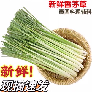 香茅草新鲜香料柠檬草鲜香茅商用农家自种时令当季 蔬菜食用野菜