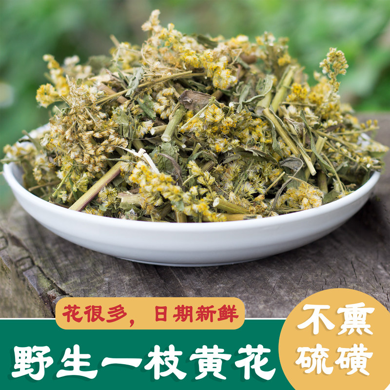 一枝黄花 野生农家 一支黄花 新鲜采收 草药老虎尿中药材干 贵州
