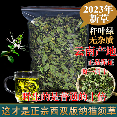 猫须草云南西双版纳新鲜排酸茶包