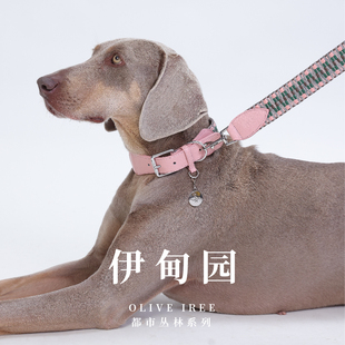 PaiPet狗狗项圈狗狗牵引绳狗脖圈灵缇惠比特编织真皮定制名牌项圈