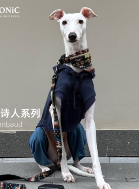 流浪诗人系列 | 兰波 全棉半P狗项圈狗脖圈狗牵引绳口水巾防爆冲