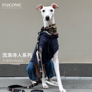 流浪诗人系列 | 兰波 全棉半P狗项圈狗脖圈狗牵引绳口水巾防爆冲