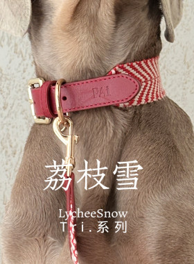 Paiconic狗狗项圈加宽舒适真皮