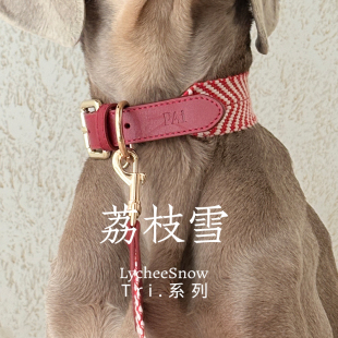 PaiPet狗狗项圈狗狗牵引绳灵缇惠比特狗狗定制名牌全棉真皮项圈