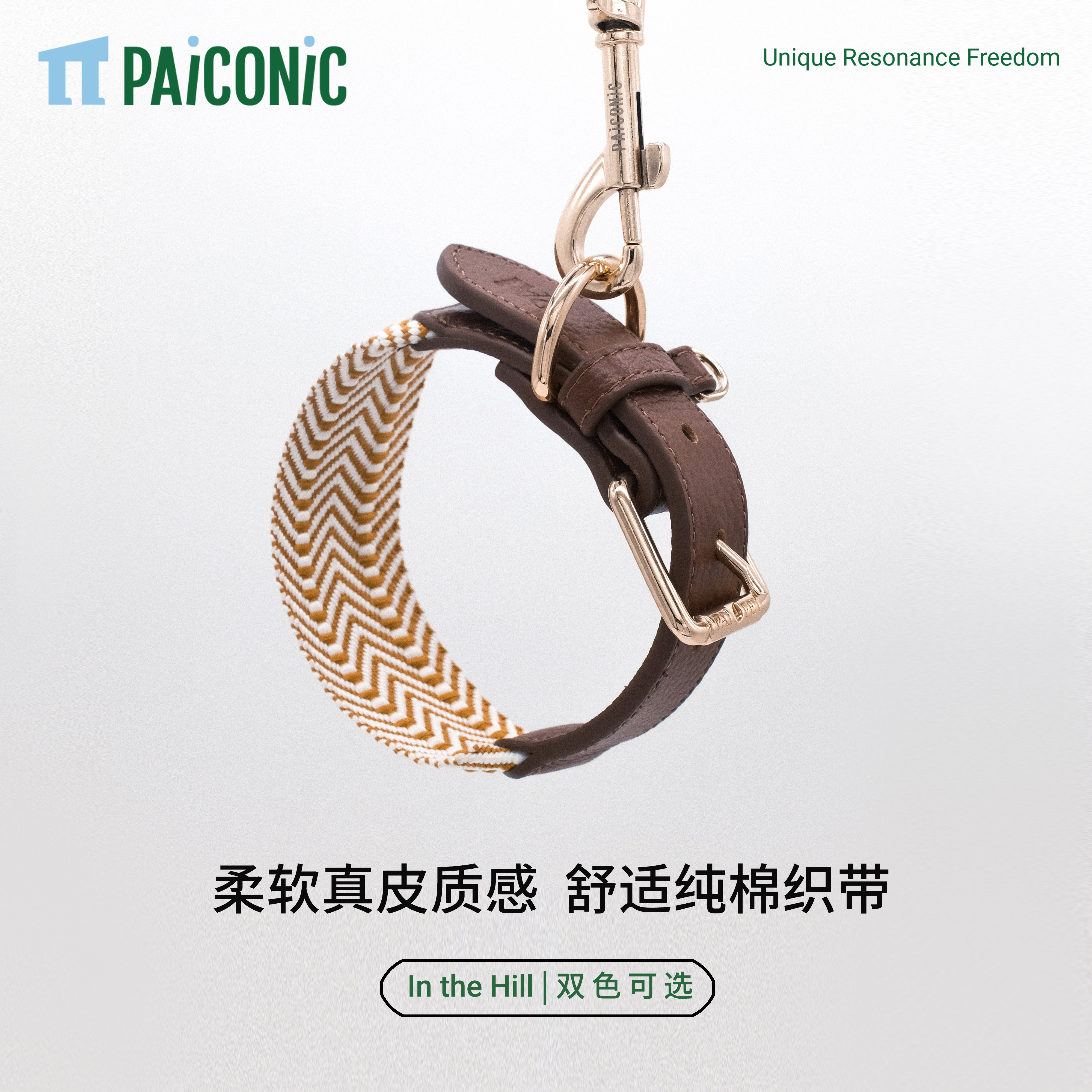 加宽舒适狗项圈牵引绳可定制名牌