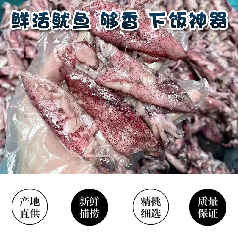 尼仔解咸鱿鱼汕尾海丰陆丰潮汕特产现捕现腌咸尼啊解蒸肉饼水产