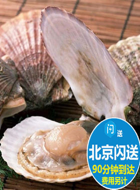 鲜活扇贝 新鲜海鲜大连獐子岛大元贝烧烤贝壳类  按个售卖100g