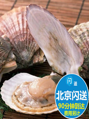 鲜活扇贝 新鲜海鲜大连獐子岛大元贝烧烤贝壳类  按个售卖100g