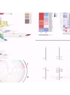 个性化生信绘图