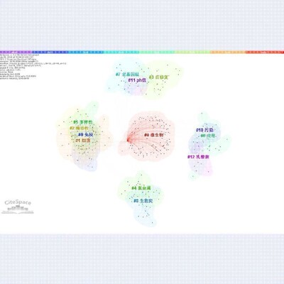 Citespace代做/关键词/共现/聚类/突现/时间线/可视化分析制图
