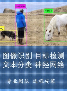Python目标检测图像识别文本分类语义分割深度学习处理视频代做