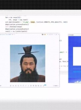 python代编程帮做opencv图像识别目标检测yolo语义分割matlab程序