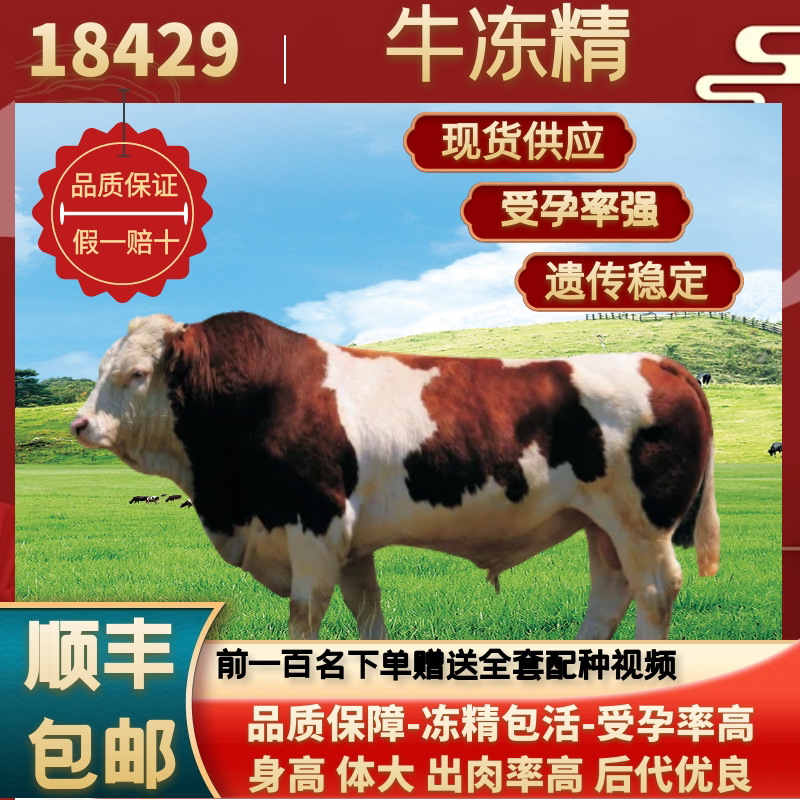 高温牛冻精西门塔尔18429种牛冻精/牛精子/牛精液/牛种子人工授精
