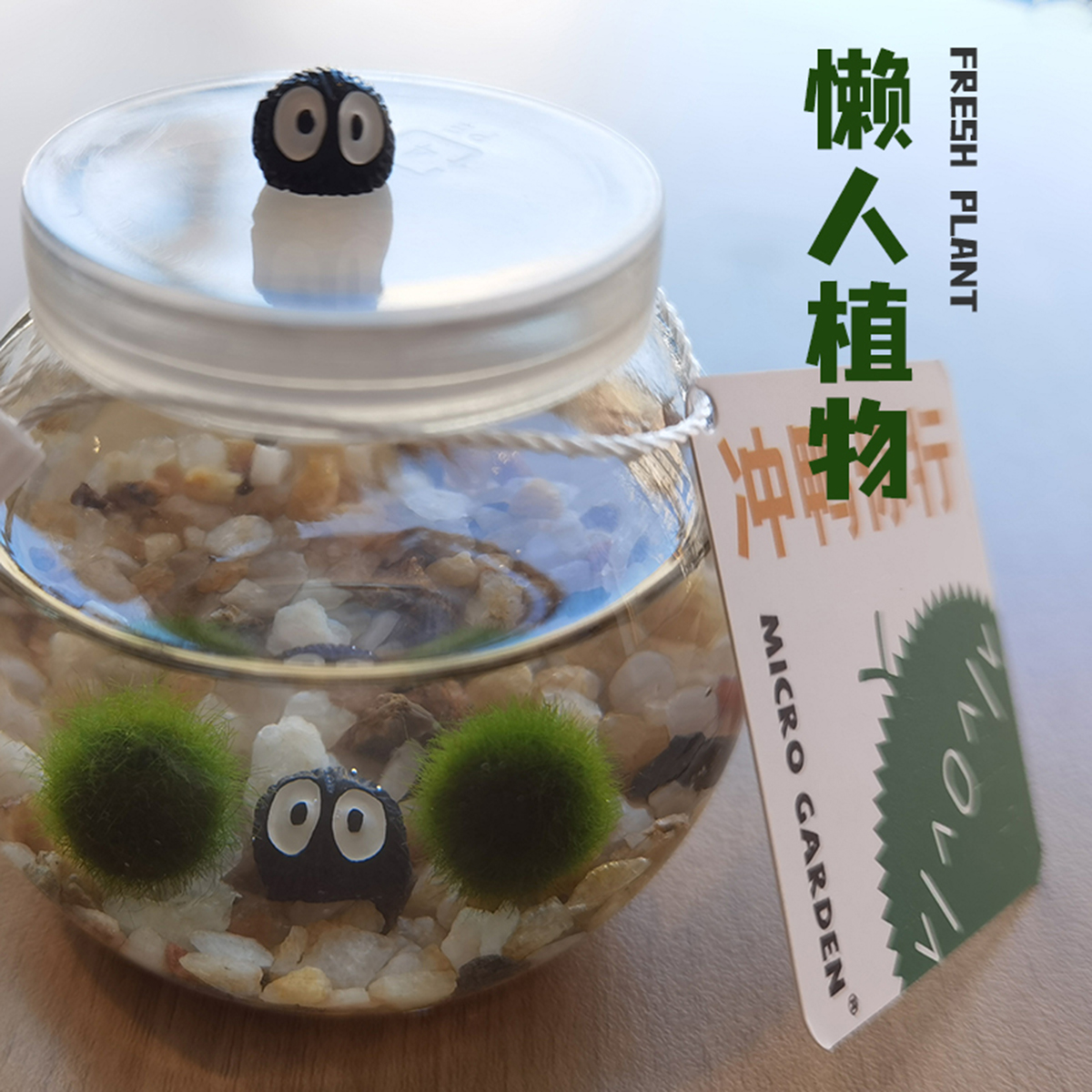海藻球生态瓶MicroGarden趣味