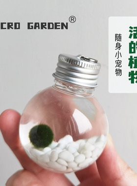 迷你海藻球随身瓶小宠物桌面生态瓶生日礼物毕业marimo懒人水培养