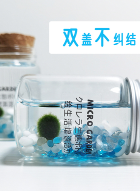 marimo海藻球马里莫生态瓶桌面宠物趣味植物 木塞瓶旅行双盖便携