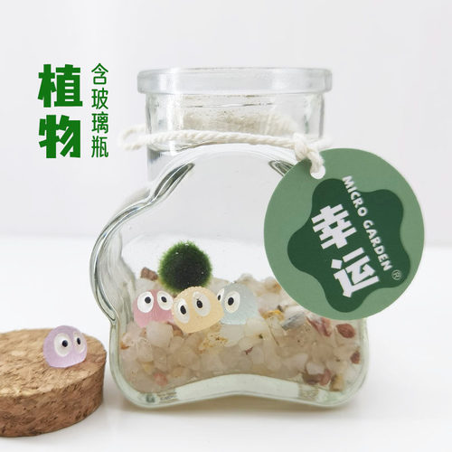 生态瓶宠物小众饲养套装