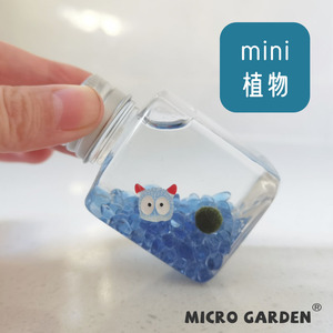 迷你植物生态瓶 海藻球微景观桌面办公室学生宿舍好养活小礼物