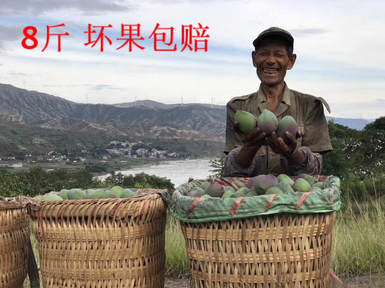 攀枝花芒果紫色吉祿芒新鮮水果產地現摘包郵8斤凈重紫皮甜心芒果