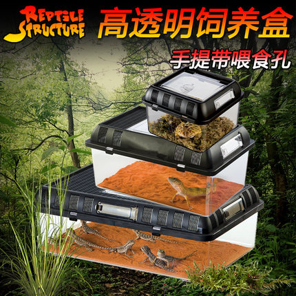 爬蟲仿生態希守宮瑾蜘蛛蜈蚣蝎子蟒帝王小魚蛇蜥蜴爬箱飼養盒包郵