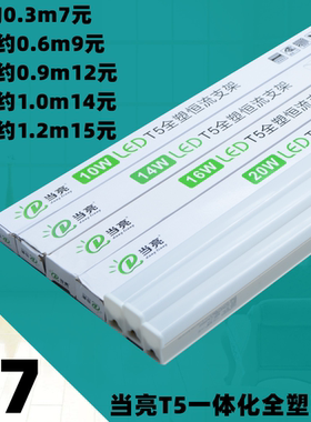 当亮照明灯管led一体化全套长条灯T5替换灯条日光灯家用商用光管