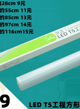 LEDT5一体化灯管支架日光微型方形方柱高亮工程照明长条节能灯具