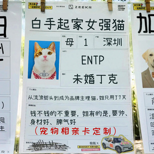 宠物相亲卡定制萌宠身份信息明信片设计创意猫狗交友介绍卡片定做