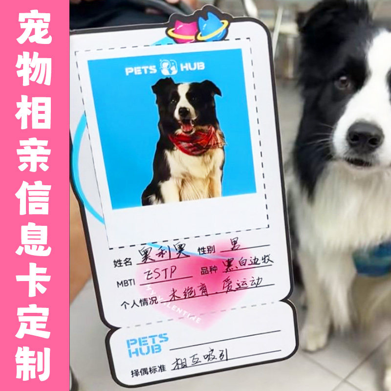 宠物相亲信息卡定制萌宠身份名片免费设计猫狗交友介绍卡片印刷