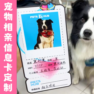宠物相亲信息卡定制萌宠身份名片免费设计猫狗交友介绍卡片印刷