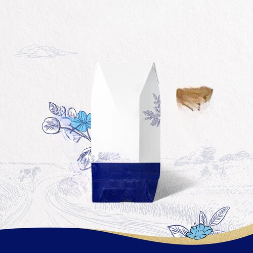 代胡蒙n特l苏纯牛n钻包200ml*10盒*3提