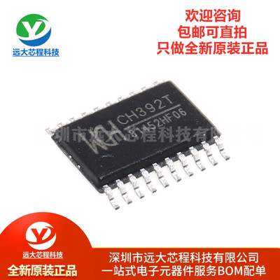 全新原装正品 贴片 CH392T TSSOP-20 TCP/IP网络协议栈芯片