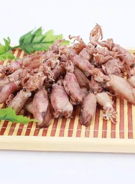 稀有带籽小乌贼干海兔