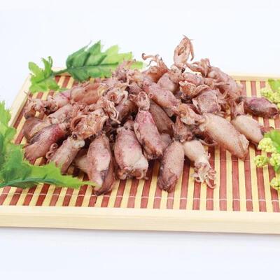 稀有带籽小乌贼干海兔