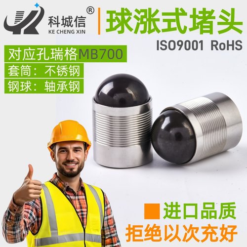 不锈钢球涨式堵头球涨堵孔用