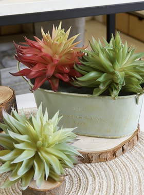 仿真多肉植物高品质手感软胶塑料假花绿植室内家居造景设计摆设品
