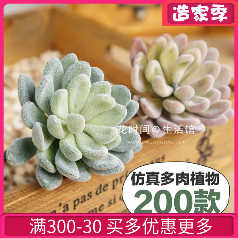 仿真多肉植物假花绿植墙品种齐全室内家居装饰品摆件组合盆栽套装