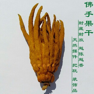 佛手干果 创意植物标本插花把玩清供摆件 天然装饰品风干真果观赏