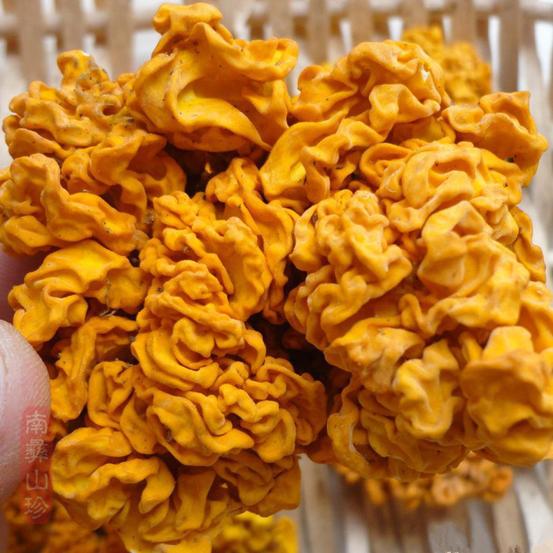 黄耳菌 脑耳金耳菌干货云南特产精选一级脑耳野生菌手工挑选100克