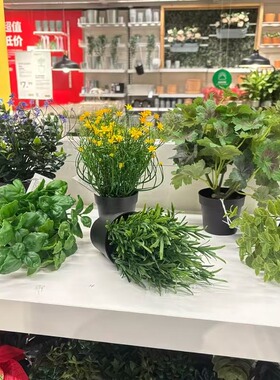 IKEA宜家 FEJKA菲卡人造盆栽植物室内户外悬挂绿植现代简约北欧风