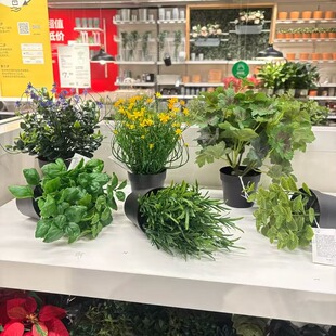 IKEA宜家 FEJKA菲卡人造盆栽植物室内户外悬挂绿植现代简约北欧风