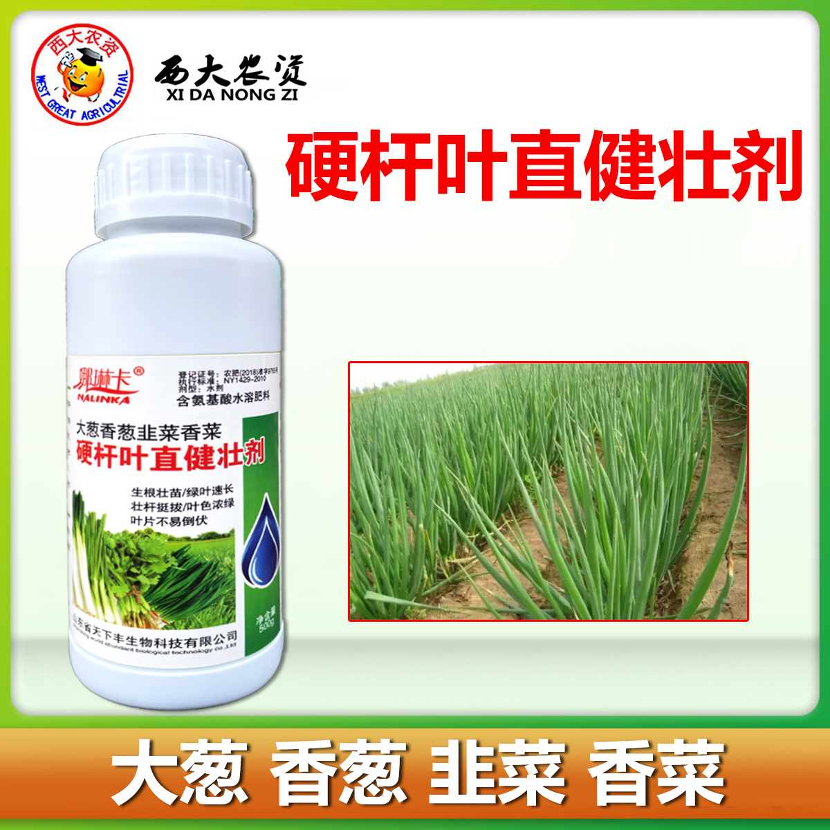 华诺联邦大葱专用叶直杆硬叶面肥
