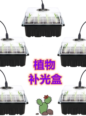 育苗盒带补光灯全光谱多肉播种植物促进生长保湿闷养黑色LED灯珠
