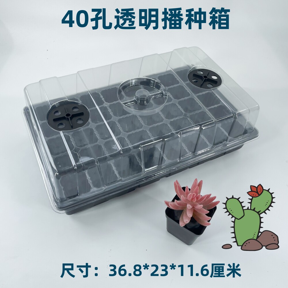育苗箱播种扦插透明穴盘图片