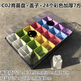 整理盒 育苗盒 C02 多肉花盆蓄水盘托盘育苗盘塑料方盆彩方小黑方