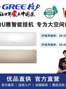 格力U雅2匹/3匹挂机空调新一级能效壁挂式冷暖变频客厅家用自清洁
