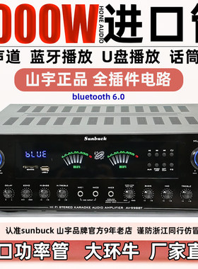 4声道大功率蓝牙功放机话筒唱歌U盘播放收音机专业全插件电路品质